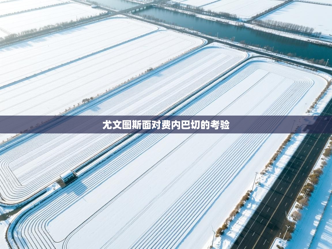 尤文图斯面对费内巴切的考验  第2张