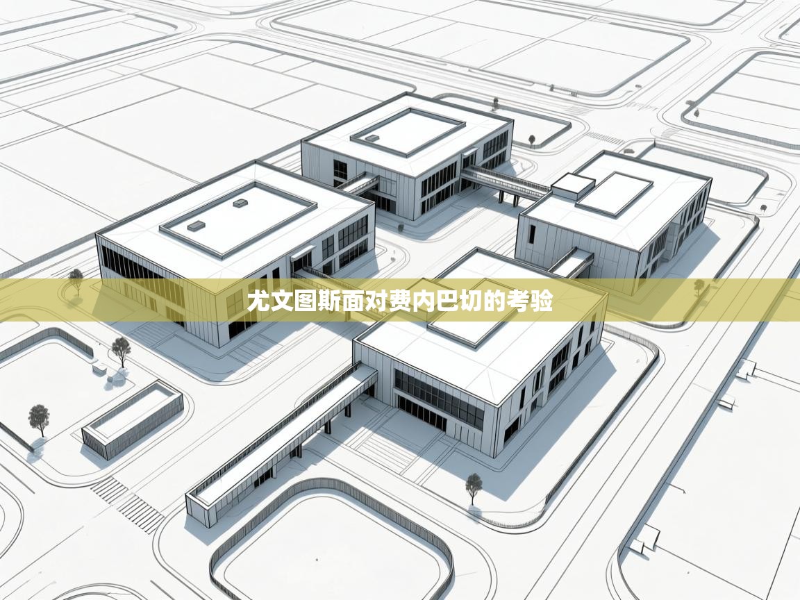 尤文图斯面对费内巴切的考验  第1张